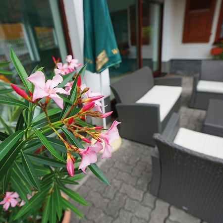 Landhotel Gasthof Zwota Klingenthal Bagian luar foto