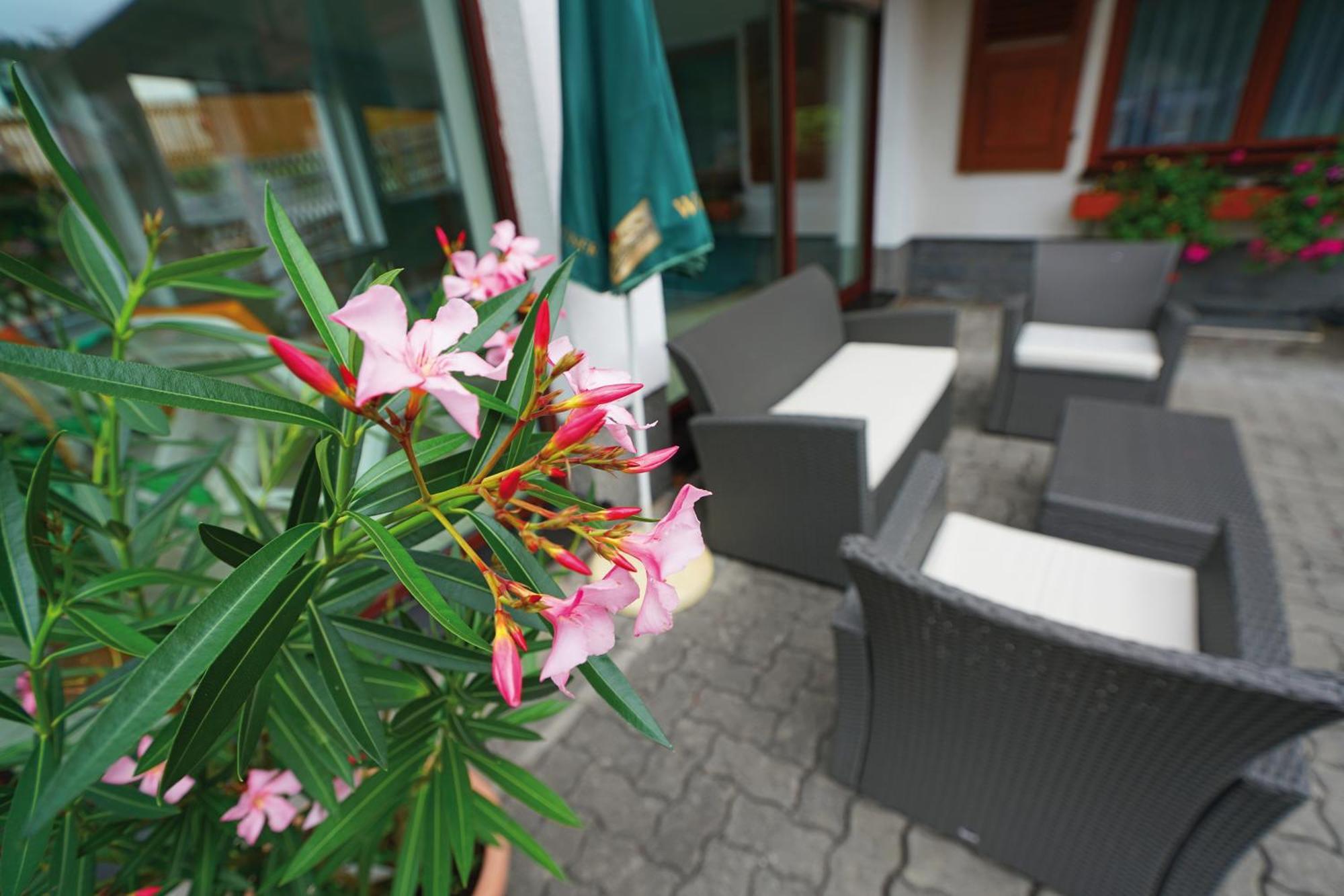 Landhotel Gasthof Zwota Klingenthal Bagian luar foto