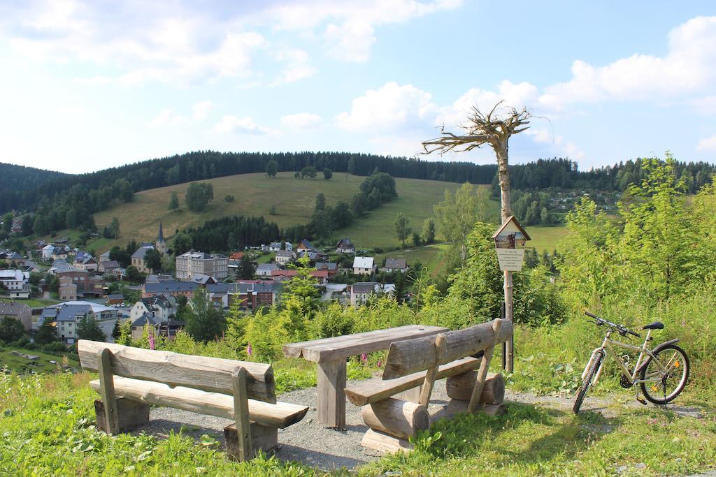 Landhotel Gasthof Zwota Klingenthal Bagian luar foto